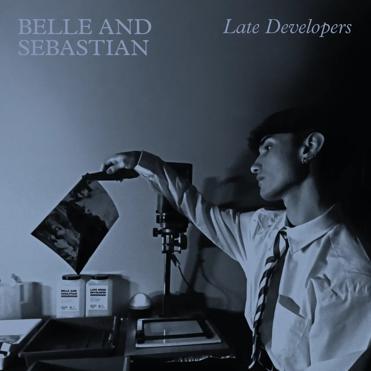 Belle And Sebastian - Late Developers (Vinyl LP)