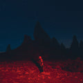 Bridgers, Phoebe - Punisher (Vinyl LP)