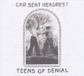 Car Seat Headrest - Teens of Denial (Vinyl LP)