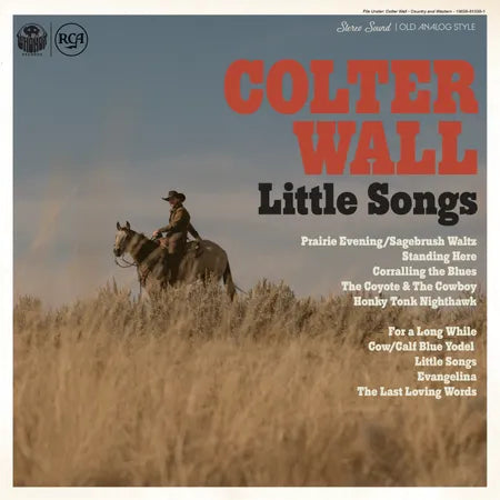 Wall, Colter - Little Songs (Vinyl LP)