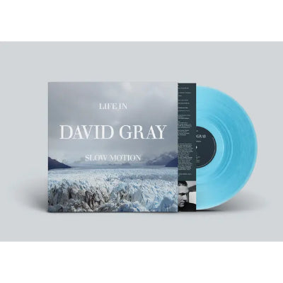 Gray, David - Life in Slow Motion (20th Anniversary Reissue Blue Coloured Vinyl) (Vinyl LP)