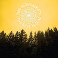 Decemberists - The King is Dead (Vinyl LP)