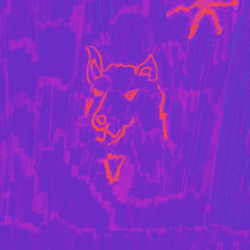 Dehd - Poetry (Vinyl LP)