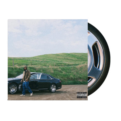 June, Larry - Doing It For Me (Picture Disc Vinyl) (Vinyl LP)