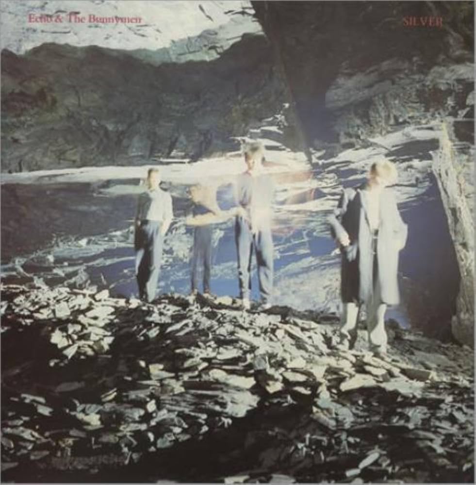 Echo and the Bunnymen - Silver (Vinyl LP)