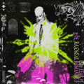Fever Ray - The Year Of The Radical Romantics (2LP Vinyl) (Vinyl LP)