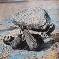 Forest Swords - Compassion (Vinyl) (Vinyl LP)