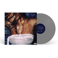 Amaarae - Fountain Baby (Silver Coloured Vinyl) (Vinyl LP)