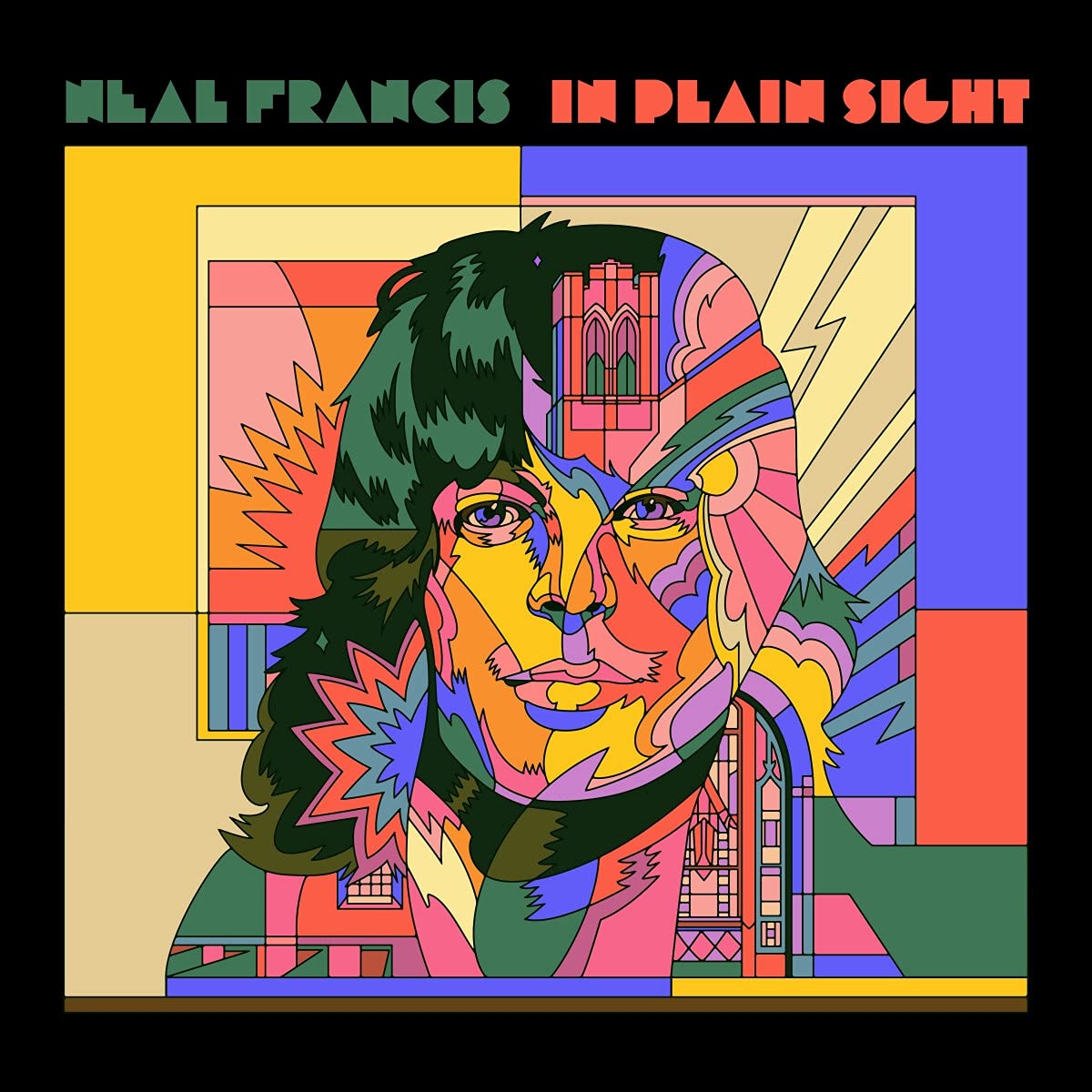 Francis, Neal - In Plain Sight (Vinyl LP)