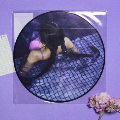 Rodrigo, Olivia - GUTS (Limited Picture Disc Vinyl) (Vinyl LP)