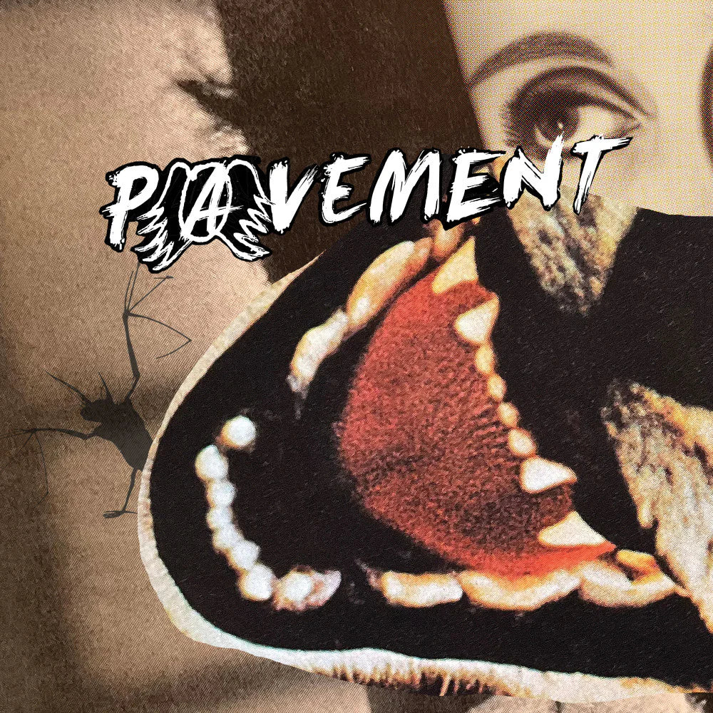 Pavement - Hecklers Choice: Big Gums & Heavy Lifters; A Pavement Collection (Vinyl LP)