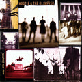 Hootie and the Blowfish - Cracked Rear View Mirror (Vinyl LP)