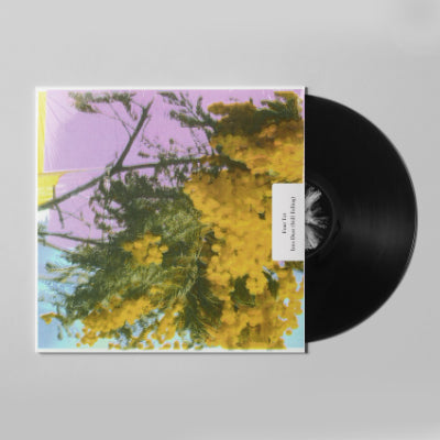 Four Tet - Into Dust (Still Falling) (12" Vinyl) (Vinyl LP)