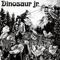 Dinosaur Jr. - Dinosaur (Vinyl LP)