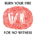 Olsen, Angel - Burn Your Fire For No Witness (Vinyl LP)