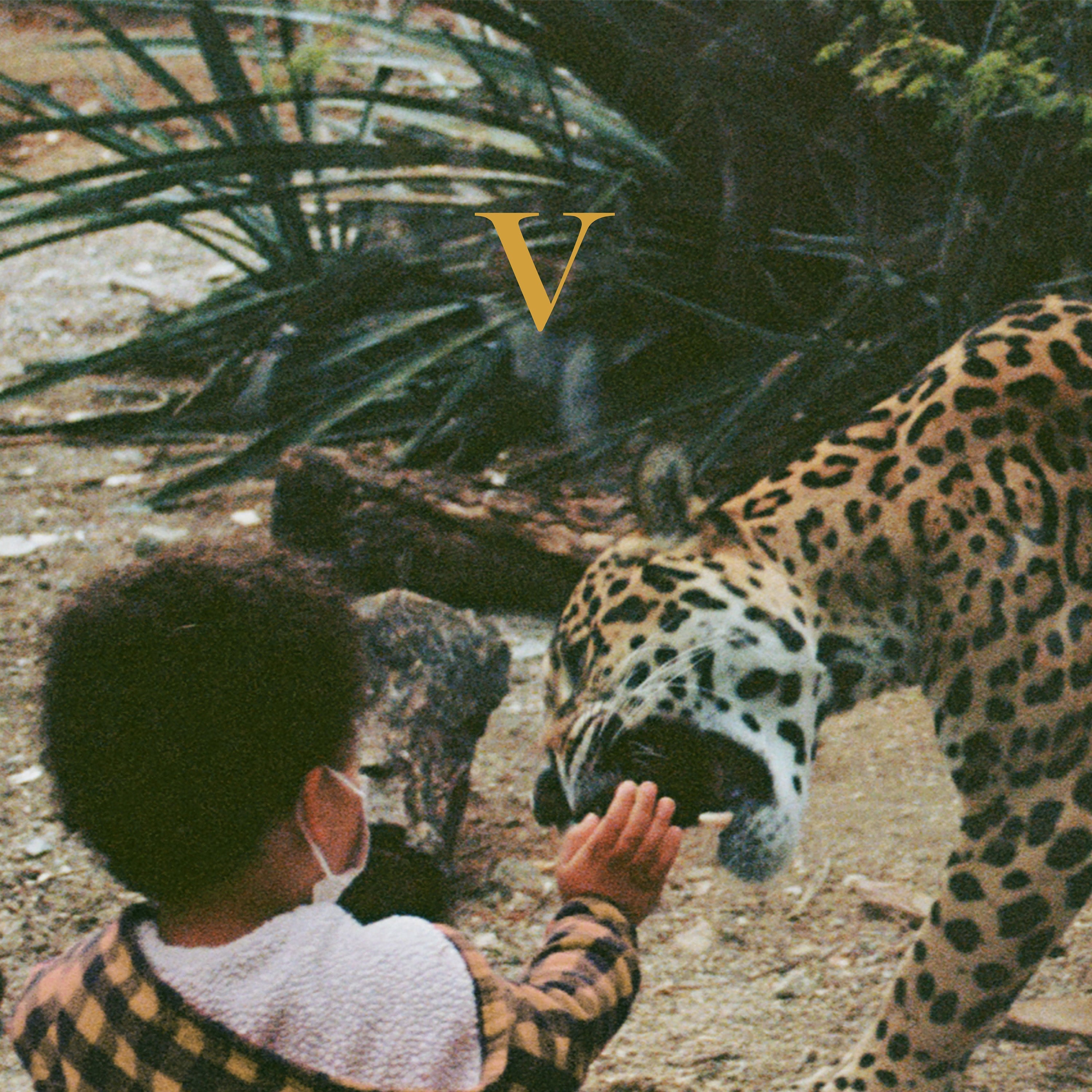 Unknown Mortal Orchestra - V (Vinyl LP)