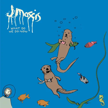 Mascis, J - What Do We Do Now (Vinyl LP)