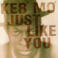 Keb' Mo' - Just Like You (Vinyl LP)