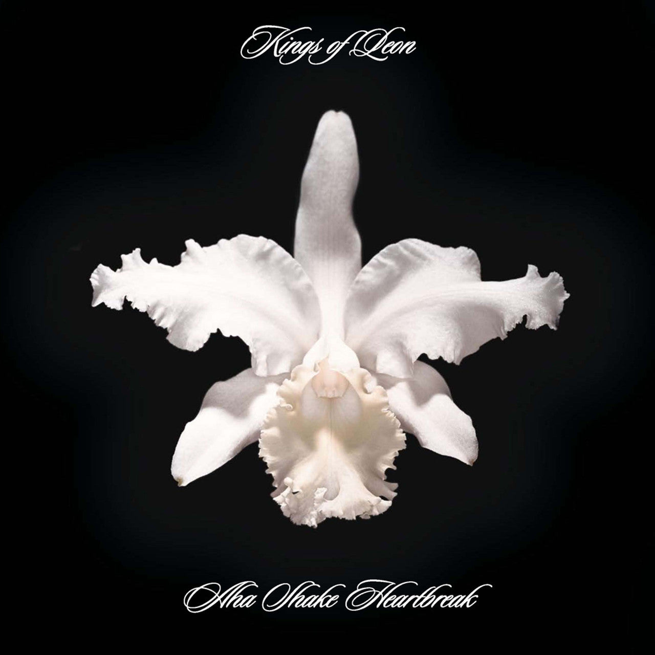 Kings of Leon - Aha Shake Heartbreak (Vinyl LP)