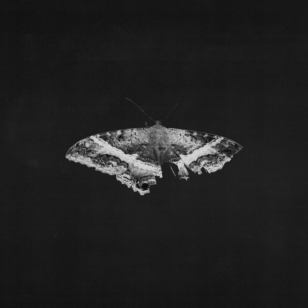 Lamar, Kendrick - To Pimp a Butterfly (Vinyl LP)