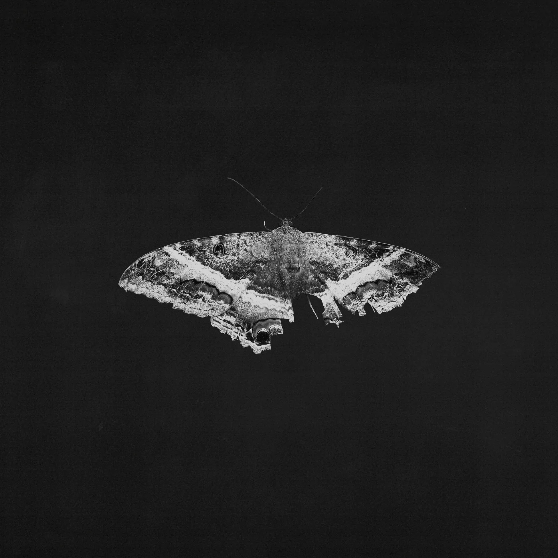 Lamar, Kendrick - To Pimp a Butterfly (Vinyl LP)