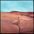 Price, Margo - Strays (Vinyl LP)