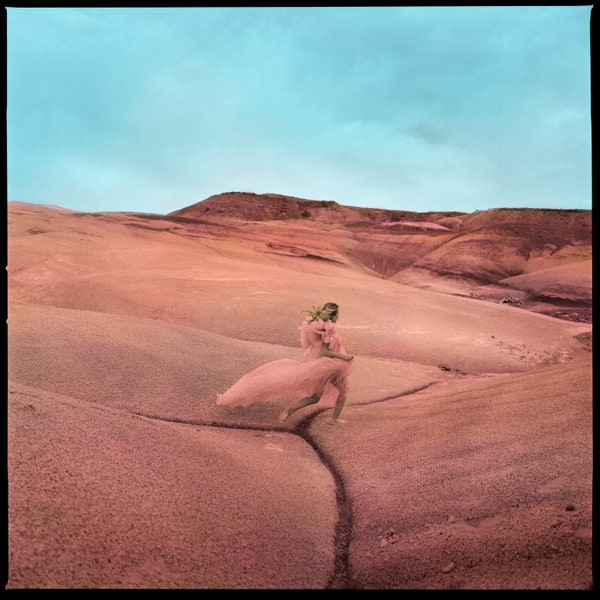 Price, Margo - Strays (Vinyl LP)