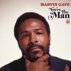 Gaye, Marvin - You're the Man (Vinyl LP)