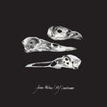 Molina, Jason & MJ Lenderman - Last Three Human Words (Demo) (7" Vinyl) (Vinyl LP)