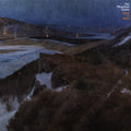 Mountain Goats - Dark in Here (Vinyl LP)