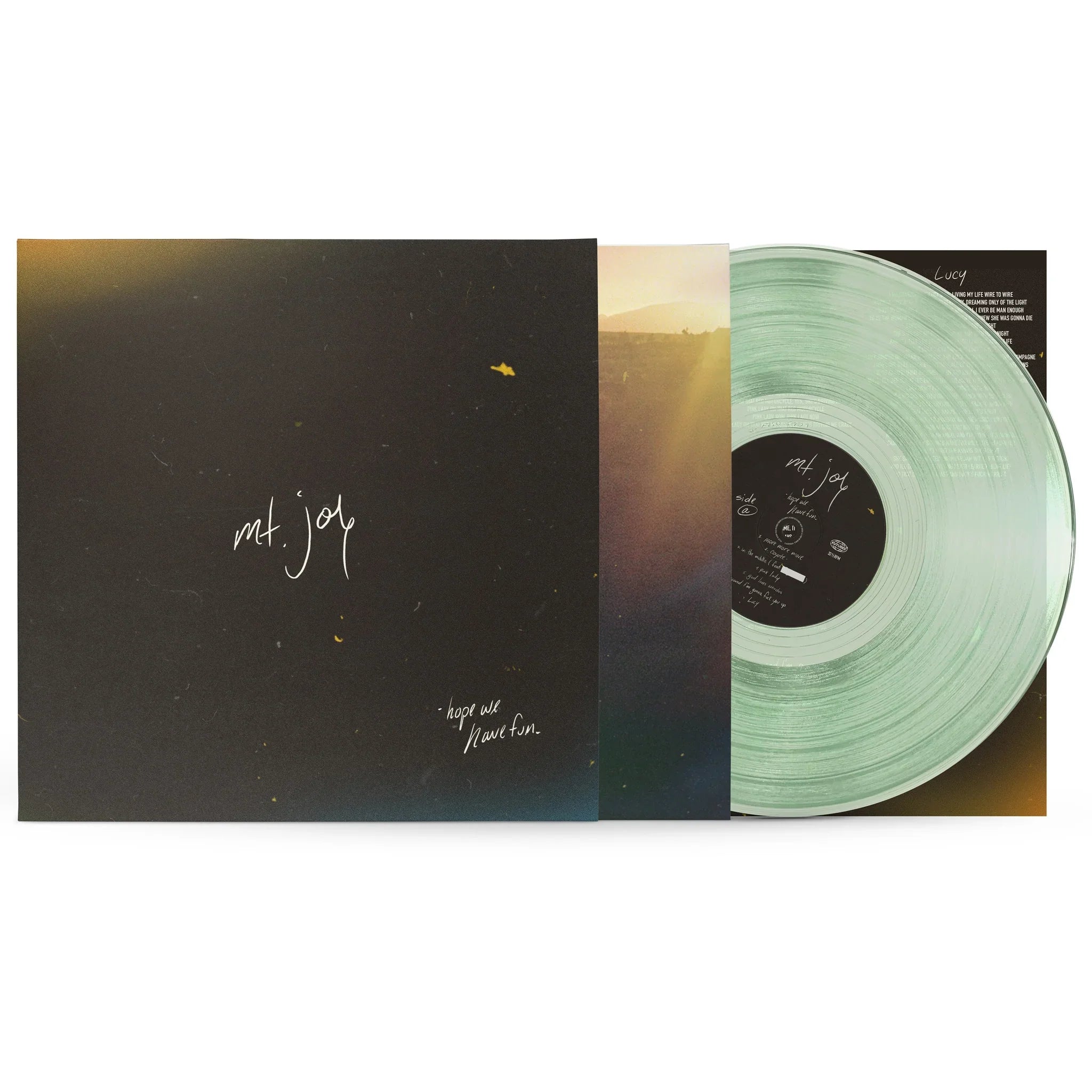 Mt. Joy - Hope We Have Fun (Vinyl LP)