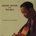 Waters, Muddy - Sings Big Bill (Vinyl LP)