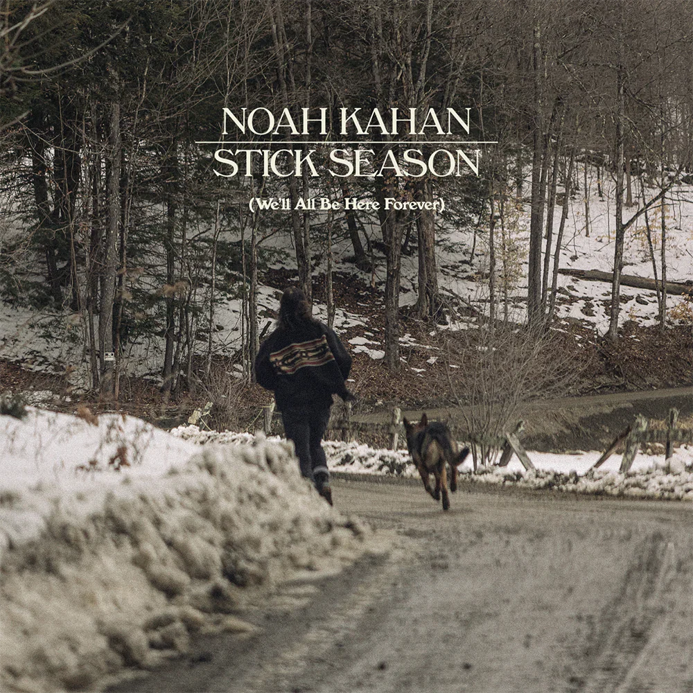 Kahan, Noah - Stick Season (Vinyl LP)