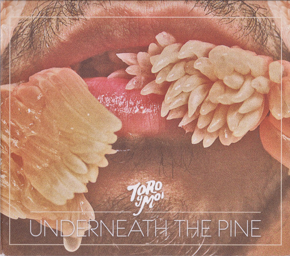 Toro y Moi - Underneath the Pine (Vinyl LP)