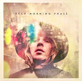 Beck - Morning Phase (Vinyl LP)