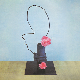 Methyl Ethel - Oh Inhuman Spectacle (Vinyl LP)