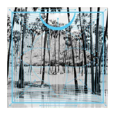 Four Tet - Pink (2LP Vinyl) (Vinyl LP)