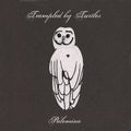 Trampled by Turtles - Palomino (Vinyl LP)