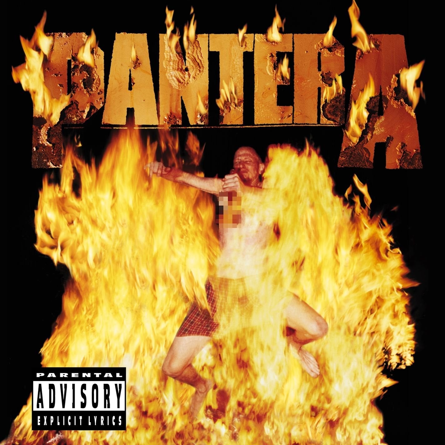 Pantera - Reinventing The Steel (Vinyl LP)