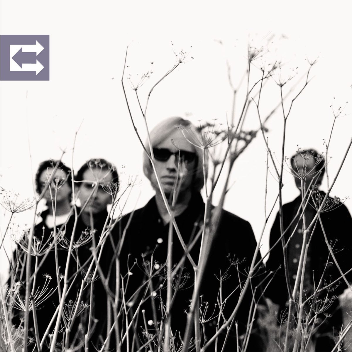 Petty, Tom and the Heartbreakers - Echo (Vinyl LP)