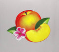 Phoenix - Bankrupt (Vinyl LP)