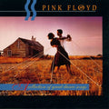 Pink Floyd - Collection of Great Dance Songs (Vinyl LP)