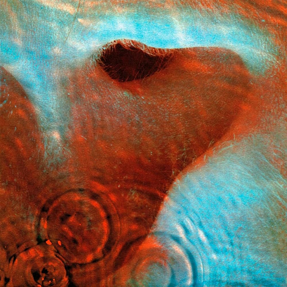 Pink Floyd - Meddle (Vinyl LP)
