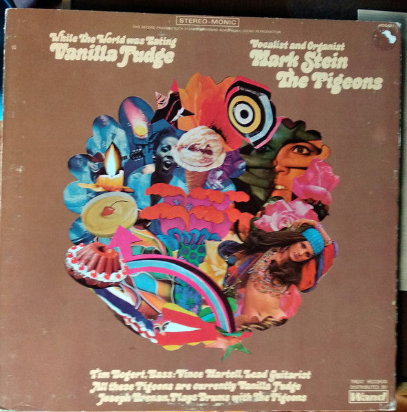 Pigeons - While The World Was Eating Vanilla Fudge (VG+) (Vinyl LP)