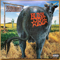 Blink 182 - Dude Ranch (Vinyl LP)