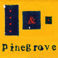 Pinegrove - Everything So Far (Vinyl LP)