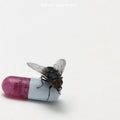 Red Hot Chili Peppers - I'm With You (Vinyl LP)