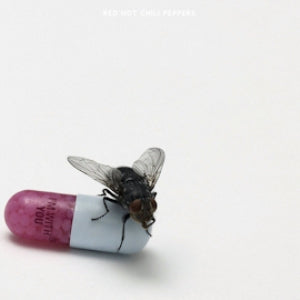 Red Hot Chili Peppers - I'm With You (Vinyl LP)
