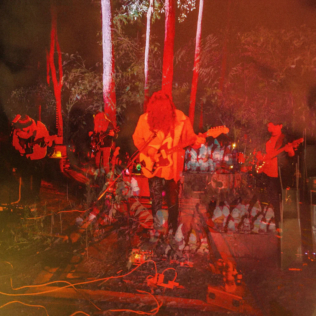 Psychedelic Porn Crumpets - Levitation Sessions (Vinyl LP)