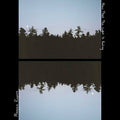 Rogers, Maggie - Now That the Light is Fading (Vinyl LP)
